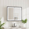 Bathroom Mirror Cabinets