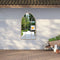 Wall & Window Mirrors