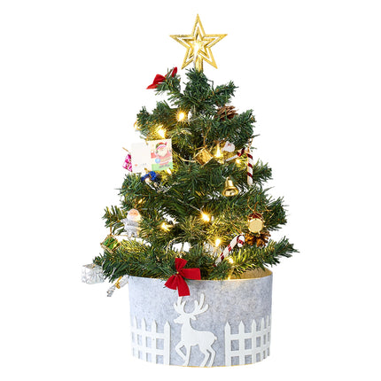 Mini Christmas Tree with Lights