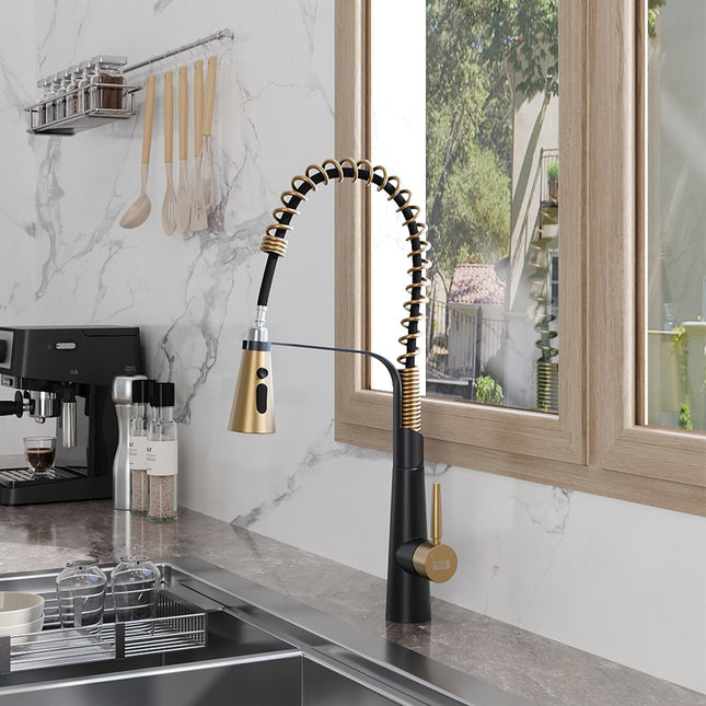 Pre-rinse Pull Down Kitchen Faucet