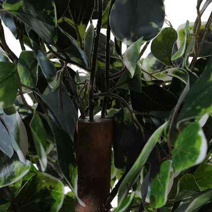 Artificial Zamioculcas Decorative Plant in Planter