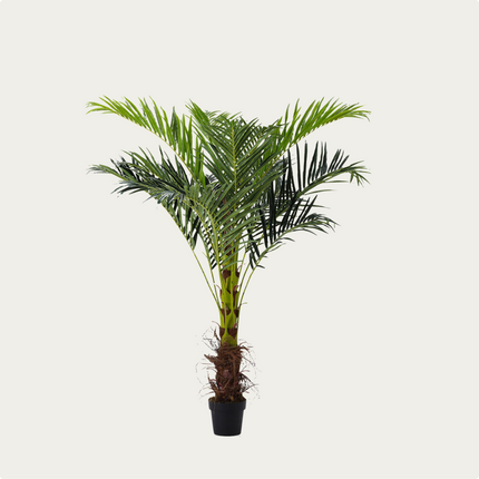180cm Outdoor Large Artificial Areca Palm Tree