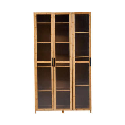 Storage Cabinet with Acrylic Doors