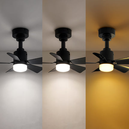 Elegant LED Ceiling Fan Light with 5 Blades