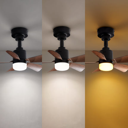 Elegant LED Ceiling Fan Light with 5 Blades