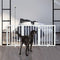 Pet Supplies
