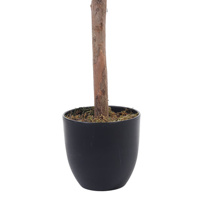 Artificial Olive Tree Decorative Plant in Planter