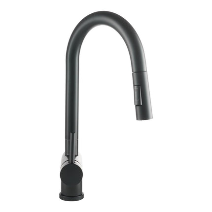 Modern Swivel Kitchen Faucet with Pull-down Sprayer