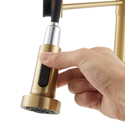 Commercial Swivel Pulldown Kitchen Faucet Gold