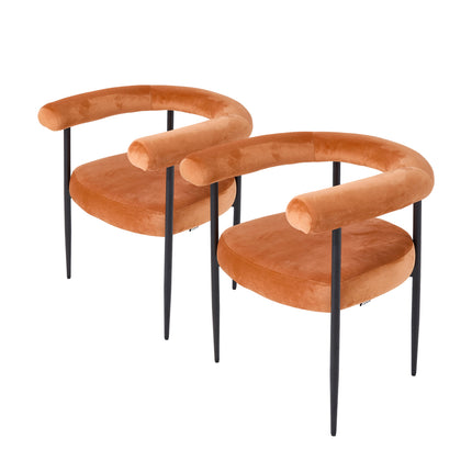 Set of 2 Modern Dining Chairs with Black Metal Legs