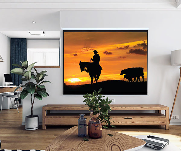 Manual Pull Down Retractable Projector Screen