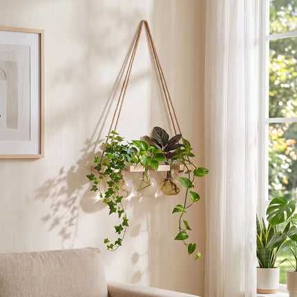 Wall Hanging Plant Propagation Station with 3 Vases & Wooden Frame
