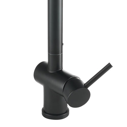 Modern Swivel Kitchen Faucet with Pull-down Sprayer