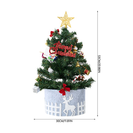 Mini Christmas Tree with Lights