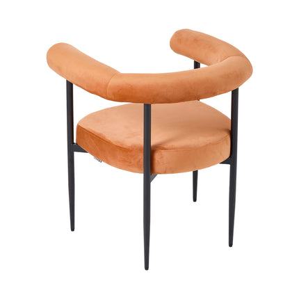 Set of 2 Modern Dining Chairs with Black Metal Legs