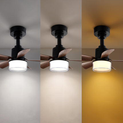 Elegant LED Ceiling Fan Light