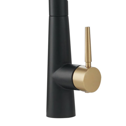 Pre-rinse Pull Down Kitchen Faucet