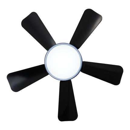 Elegant LED Ceiling Fan Light