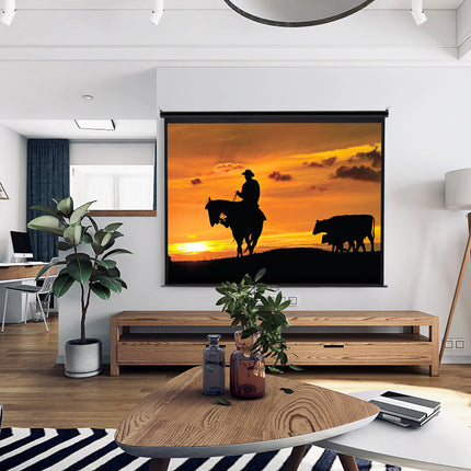100 Inch HD Manual Pull Down Projector Screen