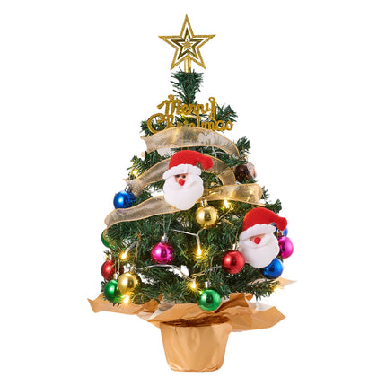 Mini Christmas Tree with Lights