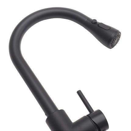 Black/Gold Retractable Commercial Pulldown Kitchen Faucet