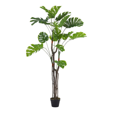 Green 170cm Artificial Monstera Deliciosa Tree in Pot