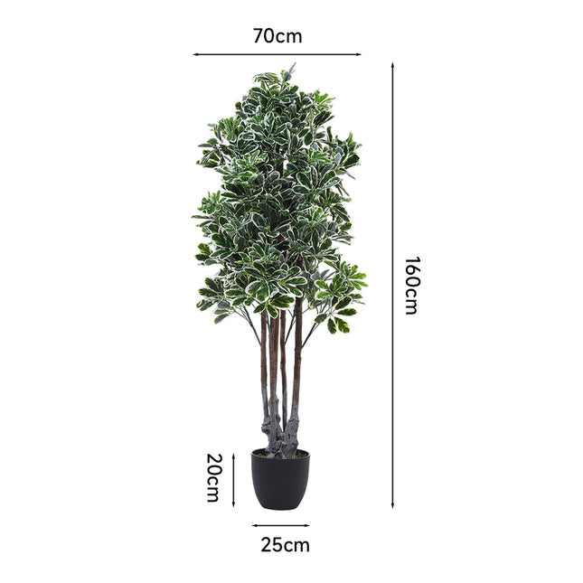 Green 160cm Artificial Schefflera Arboricola Tree in Pot for Decoration