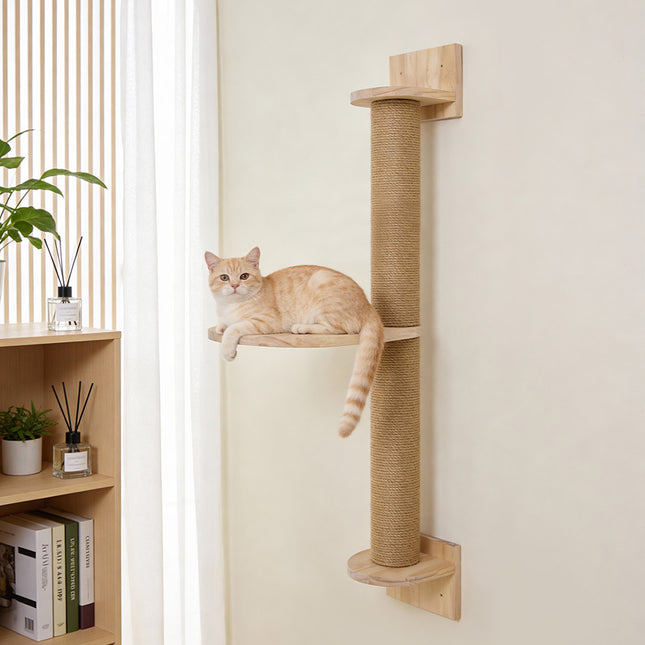Wall Mounted Cat Scratching Post