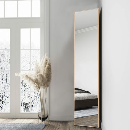 Metal Frame Over the Door Full Length Mirror