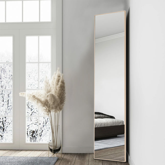Metal Frame Over the Door Full Length Mirror