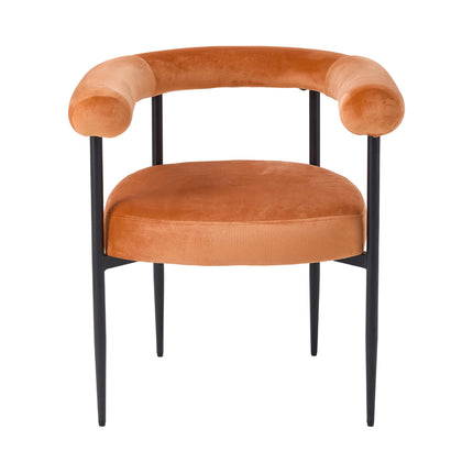 Set of 2 Modern Dining Chairs with Black Metal Legs