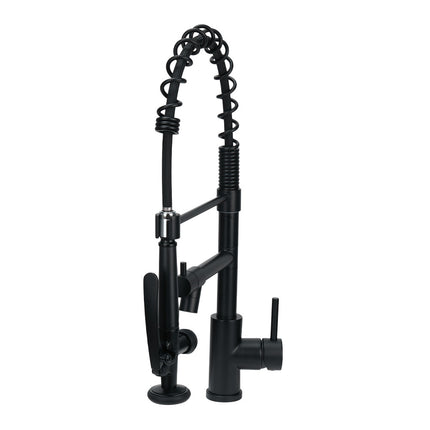 Swivel Kitchen Faucet with Pull Down Sprayer and Pot Filler