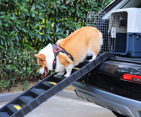 Folding Portable Dog Pet Stairs Ramp