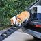 Pet Stairs