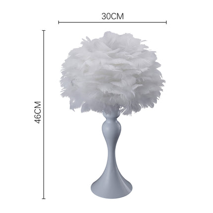 Accent Feather Table Lamp with LED Light