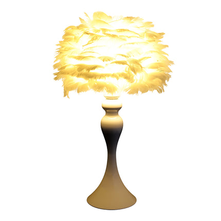 Accent Feather Table Lamp with LED Light