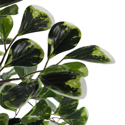 Artificial Zamioculcas Decorative Plant in Planter