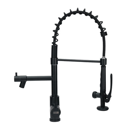 Swivel Kitchen Faucet with Pull Down Sprayer and Pot Filler
