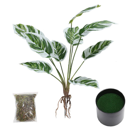 Potted Fake Plants Artificial Calathea White Fusion for Home Decoration