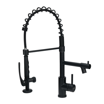 Swivel Kitchen Faucet with Pull Down Sprayer and Pot Filler