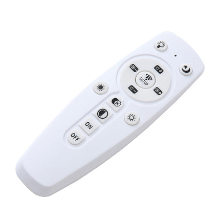 Adjustable LED Ceiling Light with Remote Control