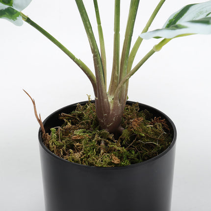 Potted Fake Plants Artificial Calathea White Fusion for Home Decoration