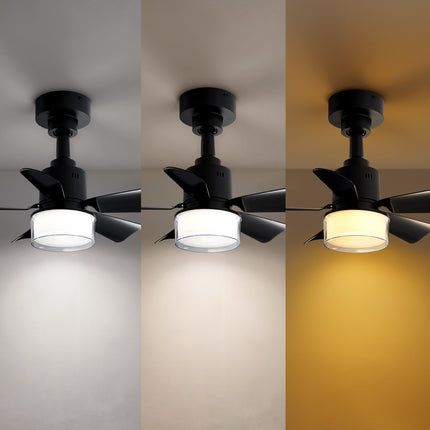Elegant LED Ceiling Fan Light