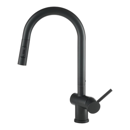 Modern Swivel Kitchen Faucet with Pull-down Sprayer