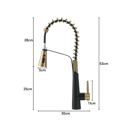 Pre-rinse Pull Down Kitchen Faucet