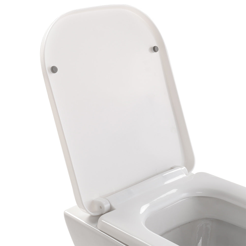 W51cm Back To Wall Toilet with Soft Close Seat